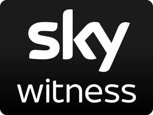 Sky Witness